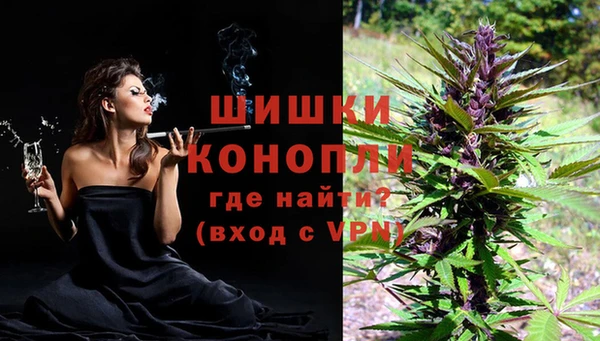 стаф Нягань