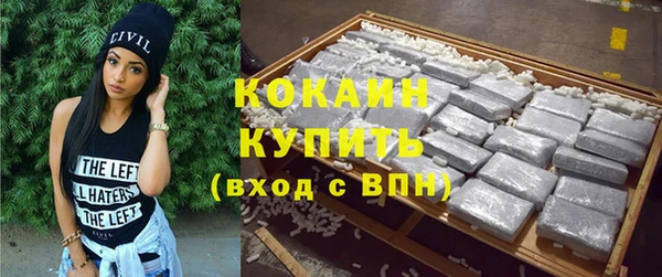 крисы Алзамай