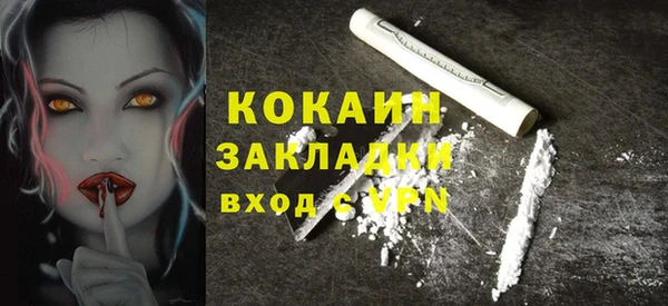 стаф Алексин