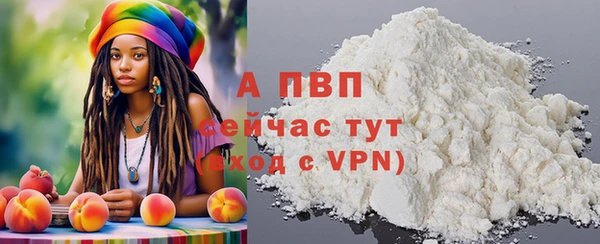 стаф Алексин