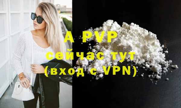 стаф Алексин